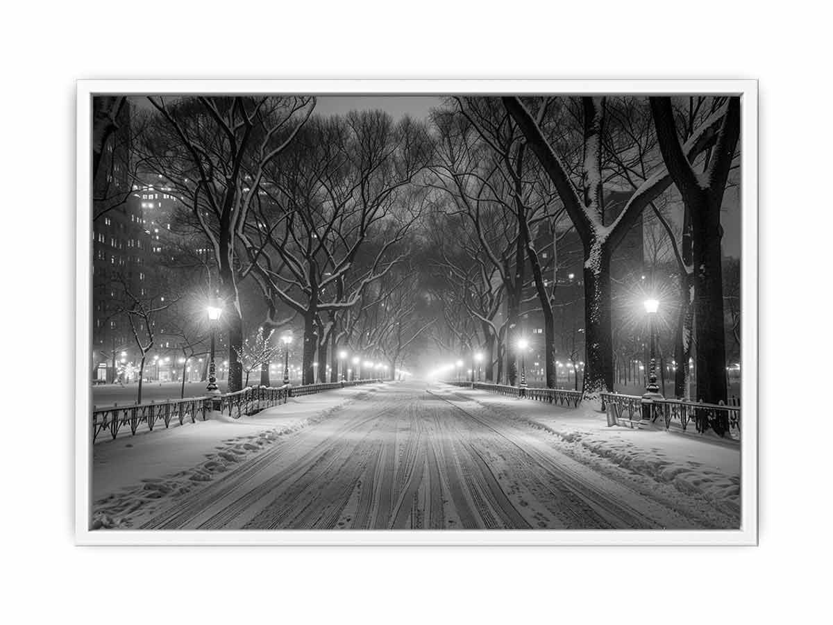 Central Park  Canvas Art Print-5