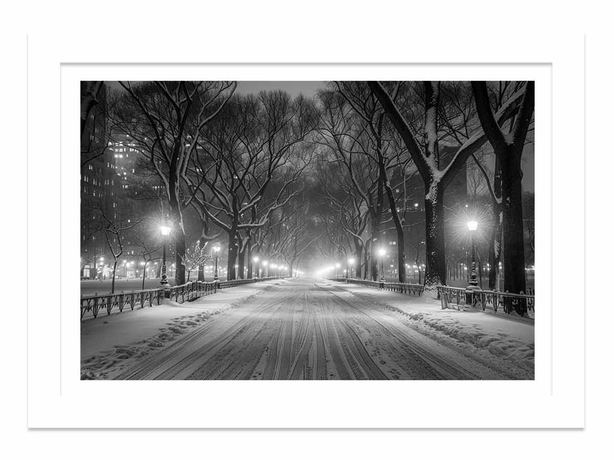 Central Park  Canvas Art Print-8