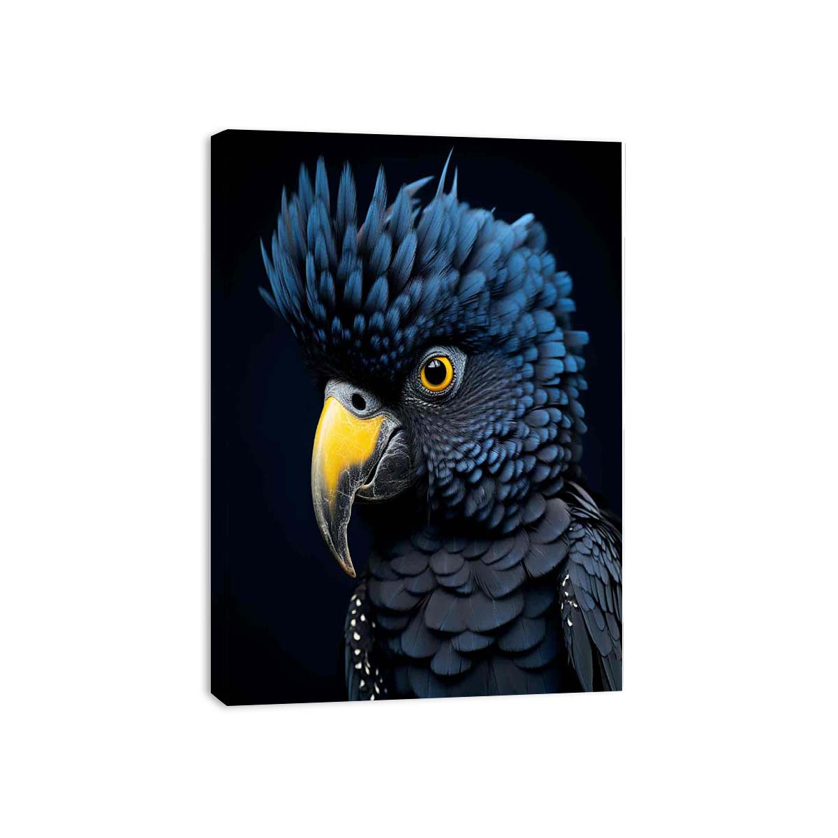 Cockatoo Bird Canvas Art Print-3