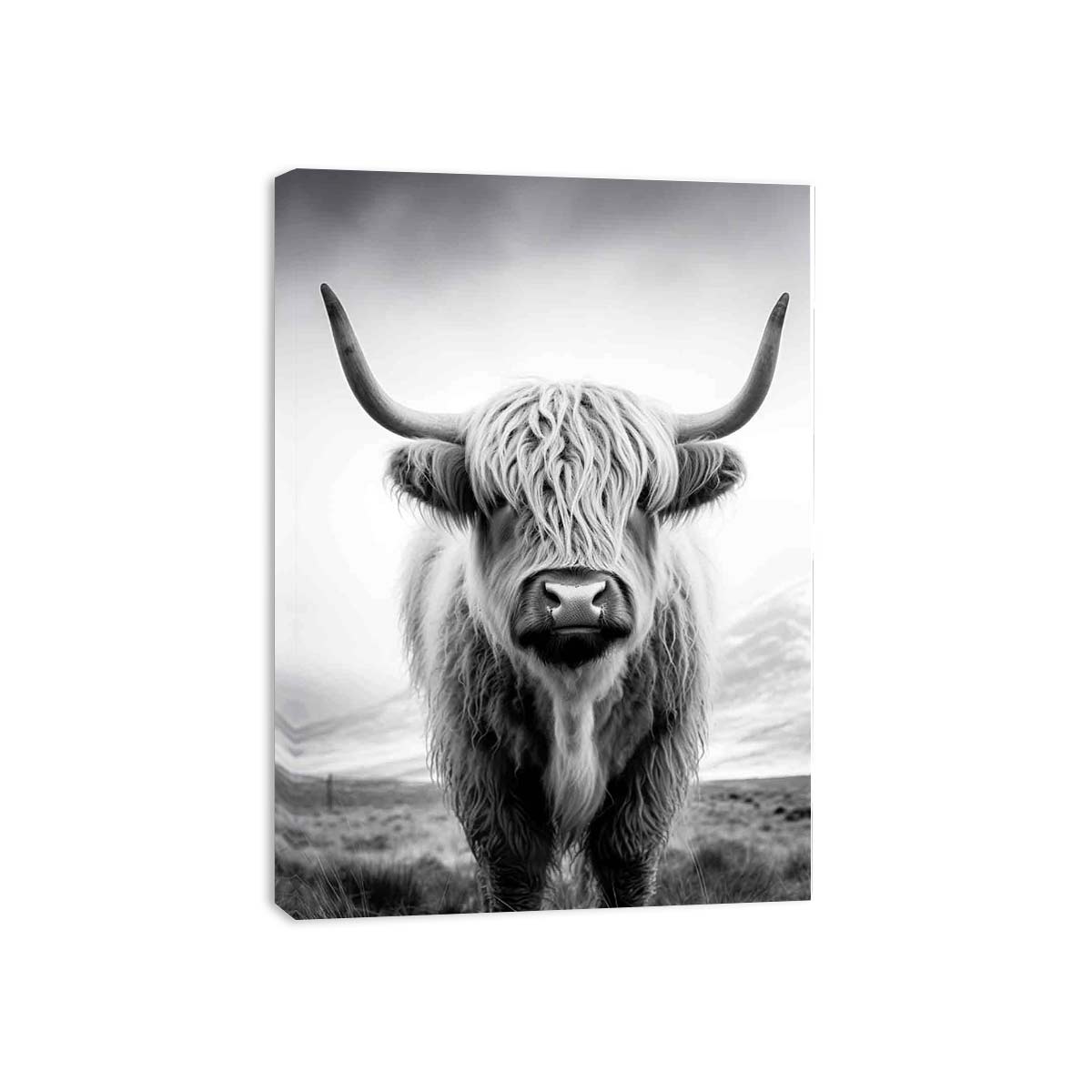 Highland Cow Canvas Art Print Painting-3