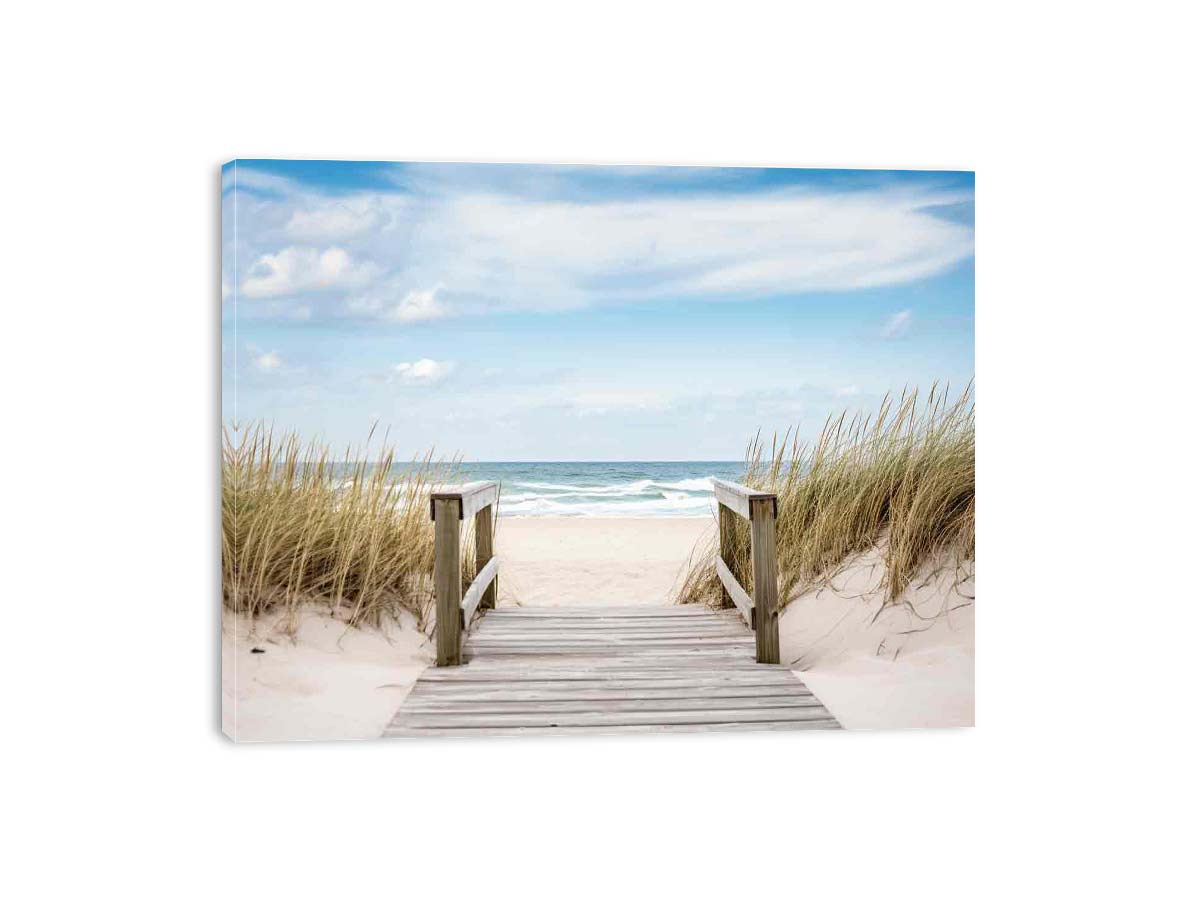 Beach Path Canvas Art Print-3