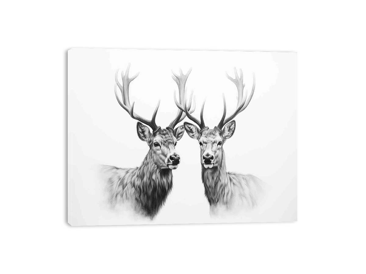 Black And White Deer Canvas Art Print-3