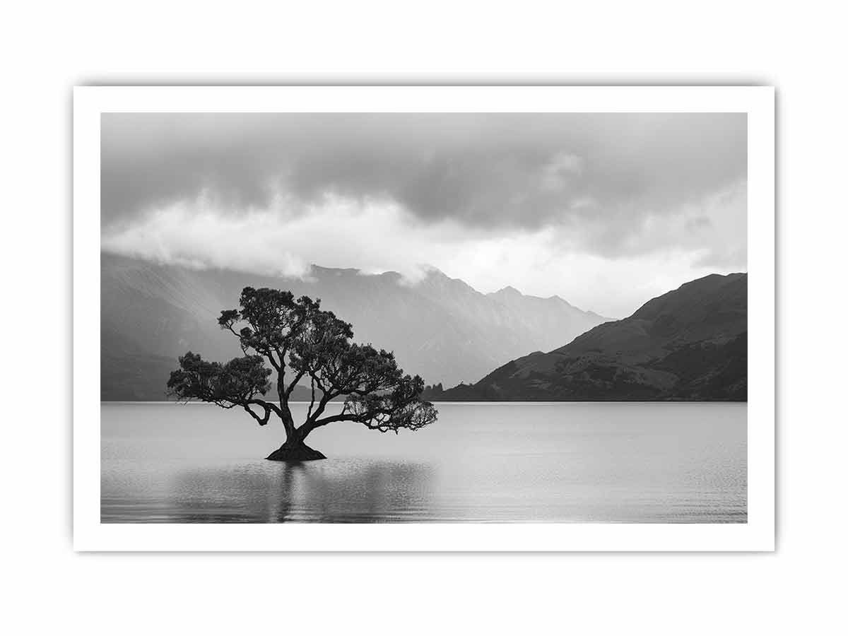 Isolated Tree Canvas Art Print-8