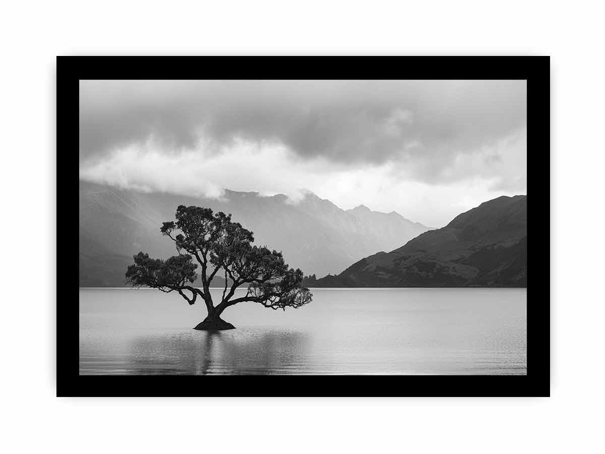 Isolated Tree Canvas Art Print-7