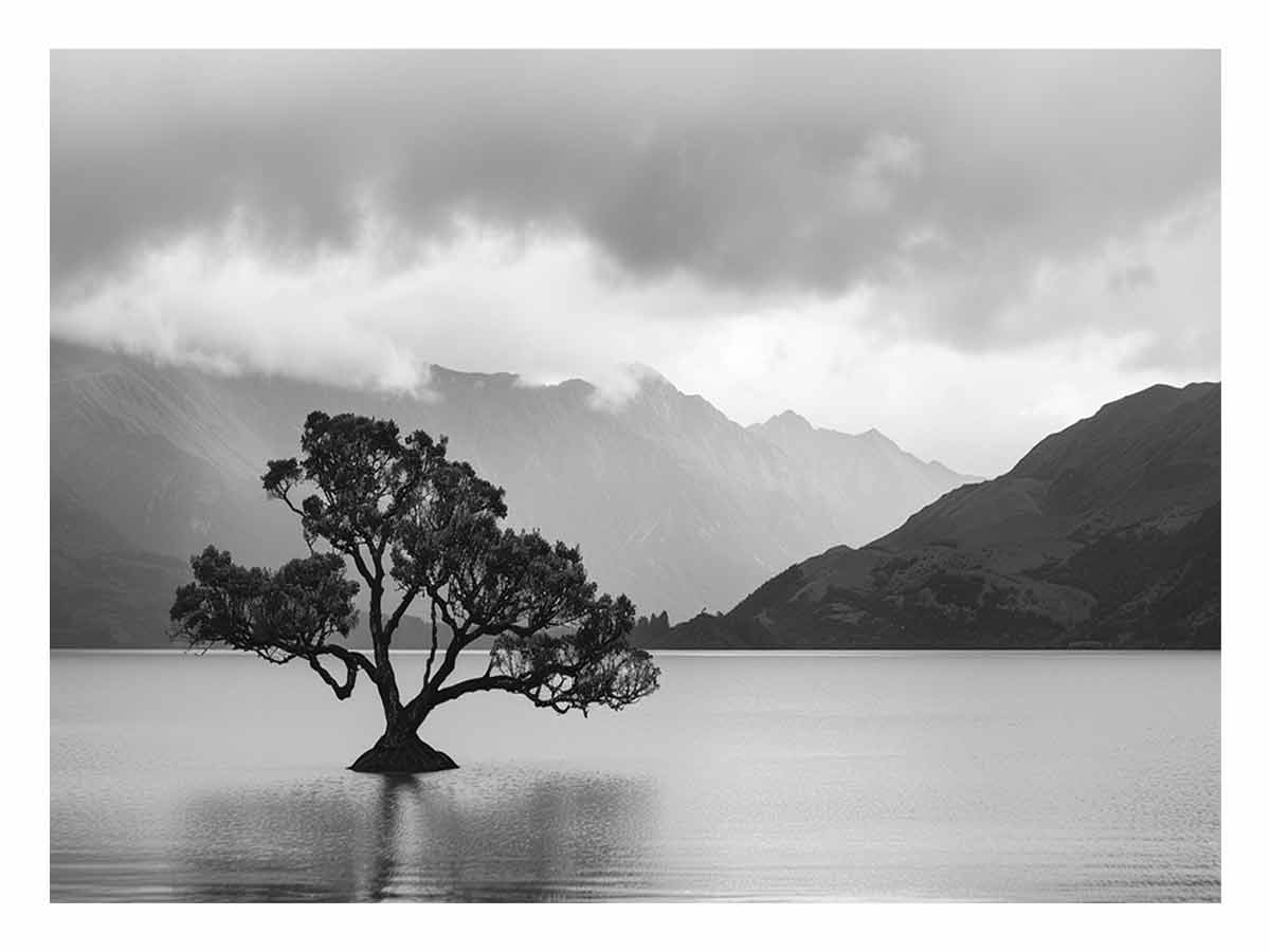 Isolated Tree Canvas Art Print-0