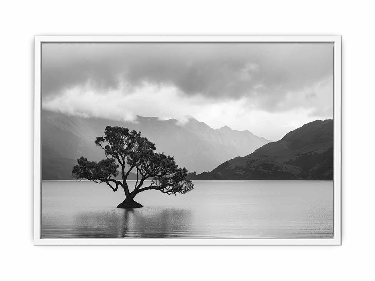 Isolated Tree Canvas Art Print-5