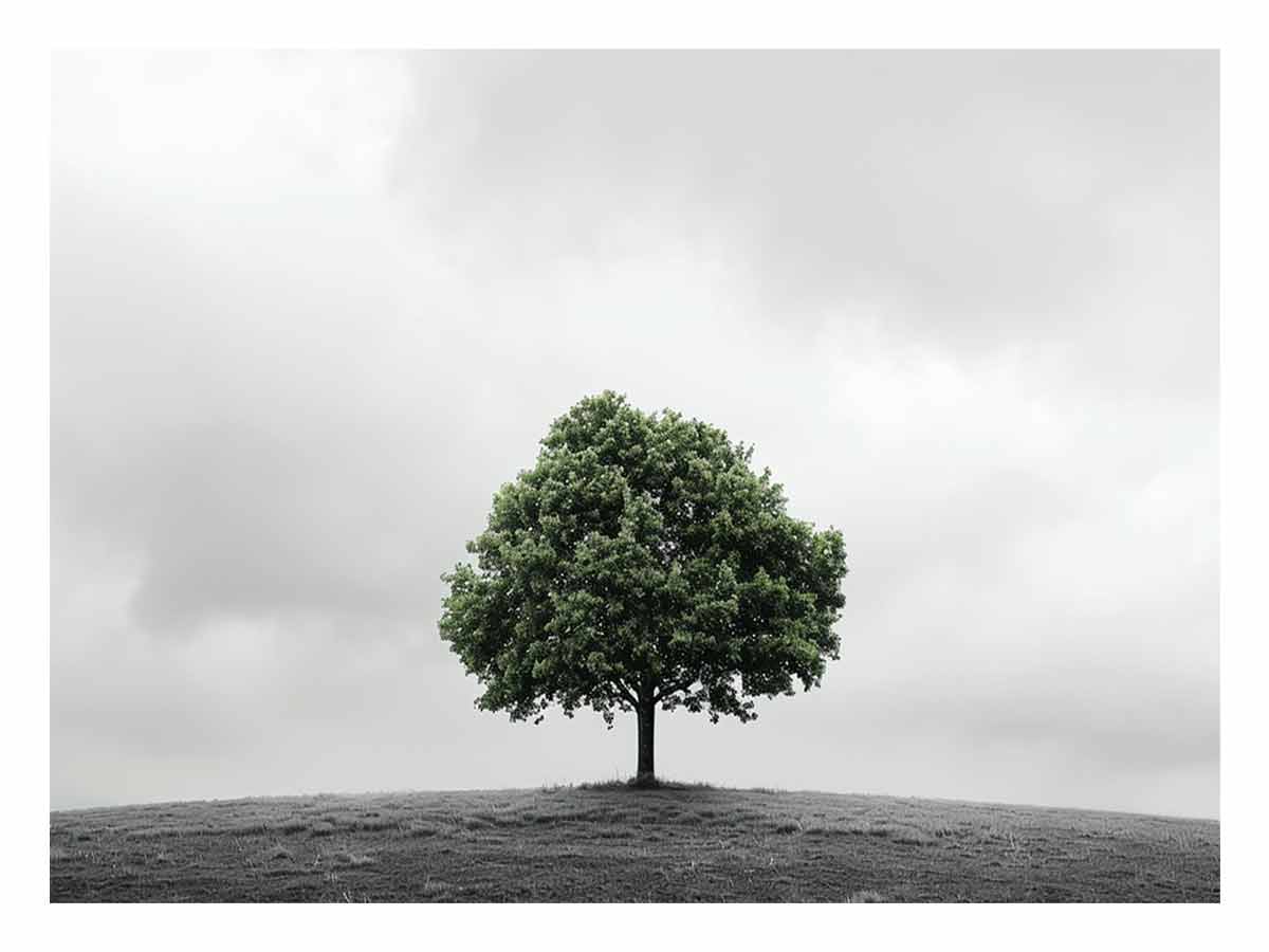 Green Tree Canvas Art Print-0