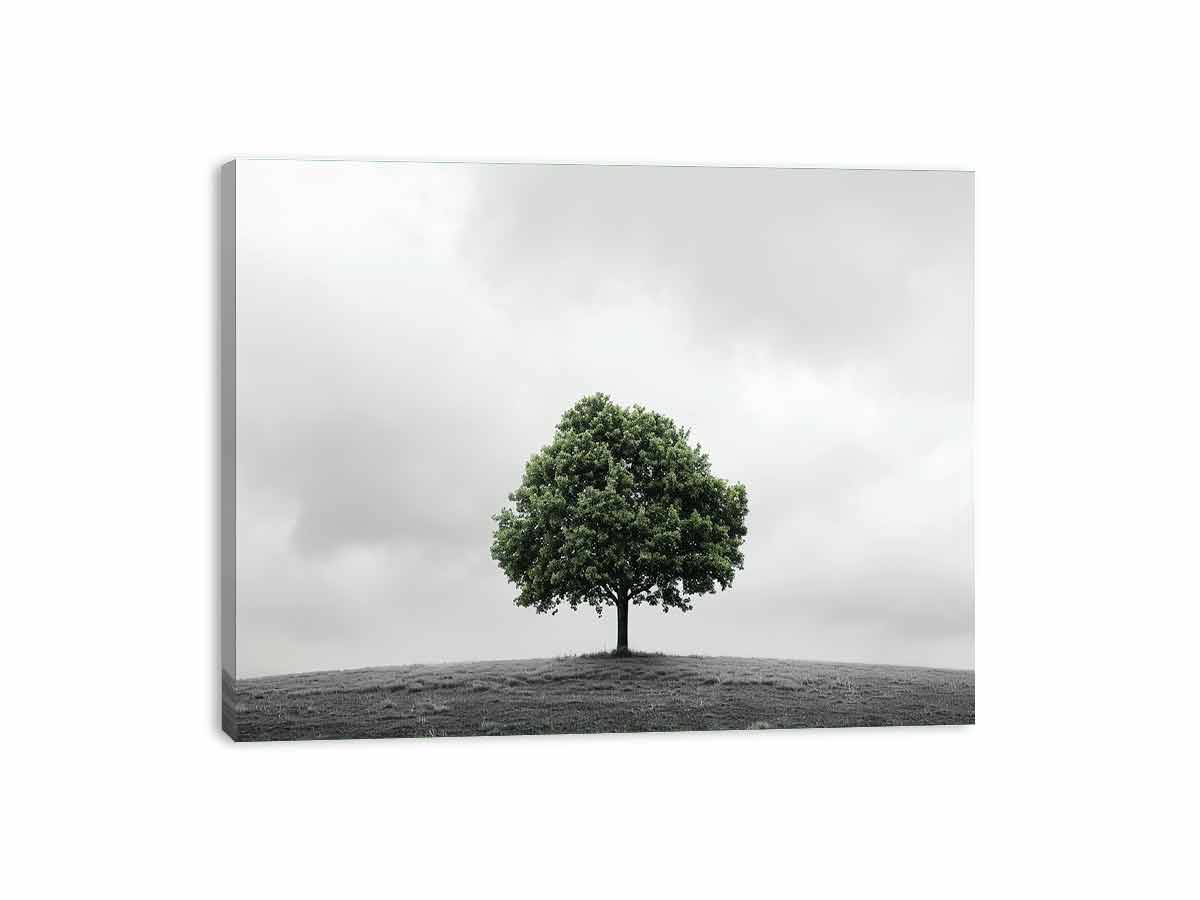 Green Tree Canvas Art Print-3
