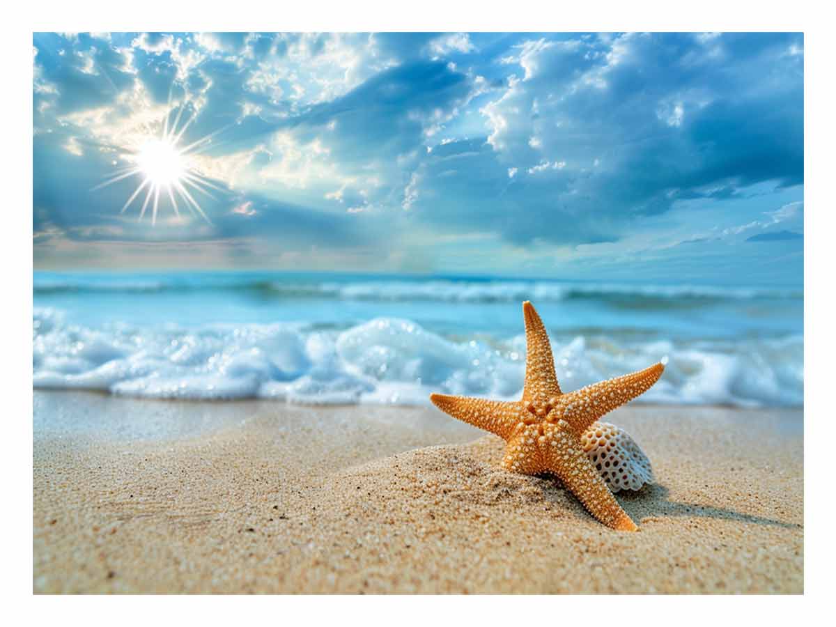 Starfish on Beach  Canvas Art Print-0