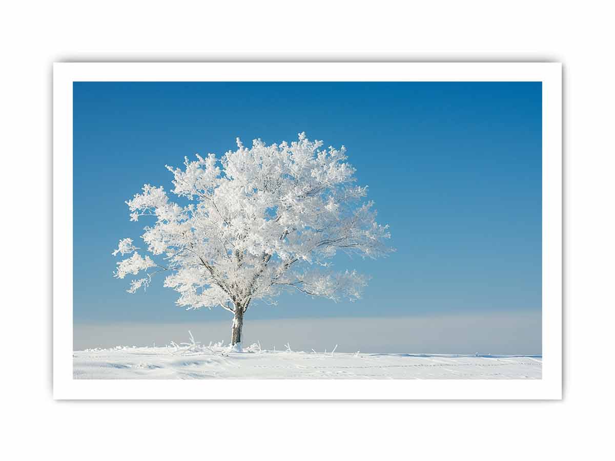 Solitary Tree  Canvas  Art Print-8