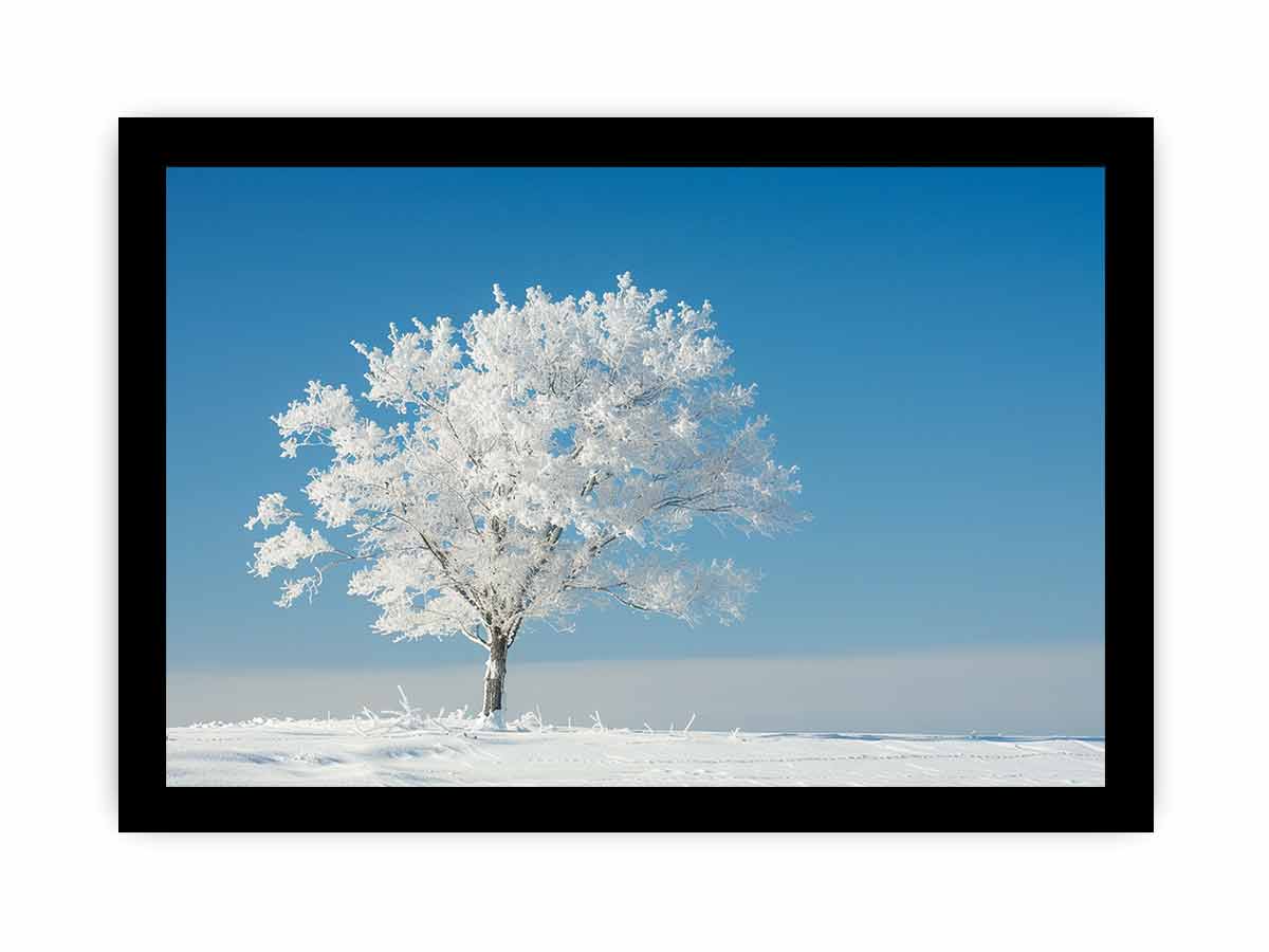 Solitary Tree  Canvas  Art Print-7