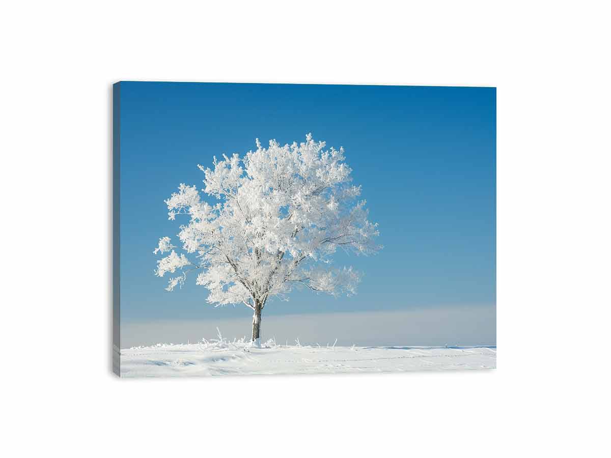 Solitary Tree  Canvas  Art Print-3