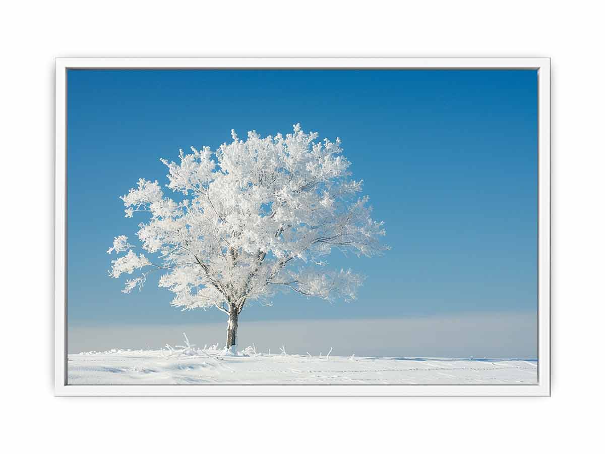 Solitary Tree  Canvas  Art Print-5