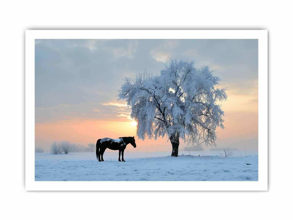 Horse In Winter  Canvas Art Print-8