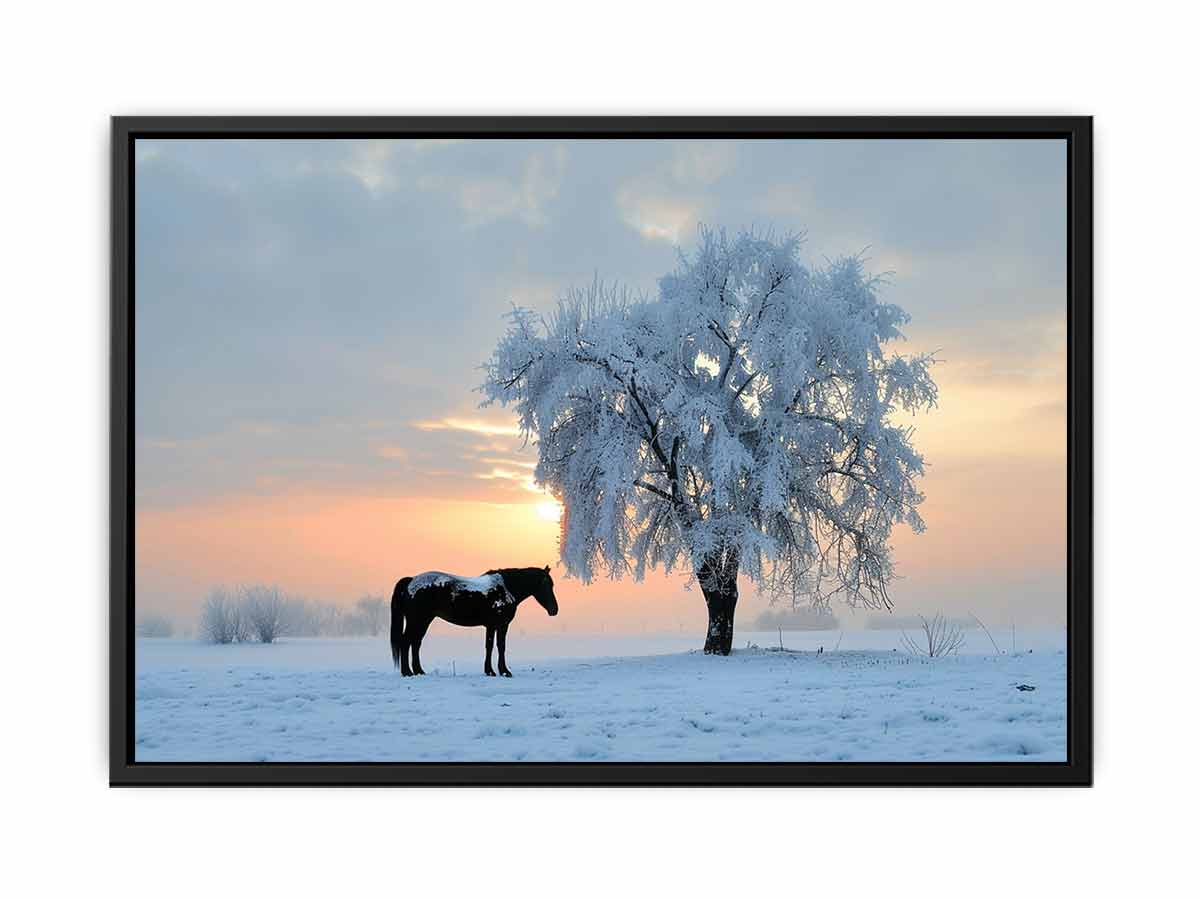 Horse In Winter  Canvas Art Print-4