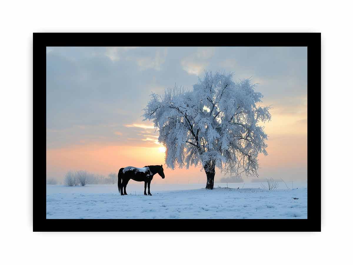 Horse In Winter  Canvas Art Print-7