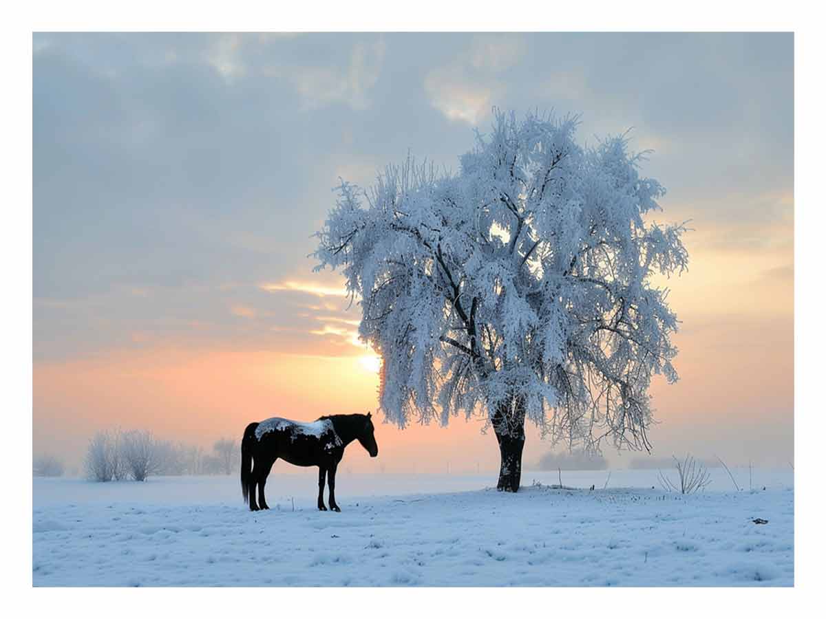 Horse In Winter  Canvas Art Print-0