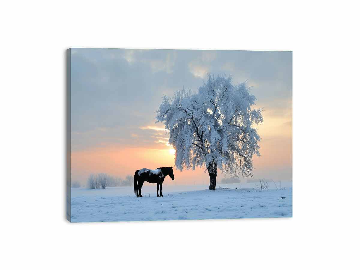 Horse In Winter  Canvas Art Print-3