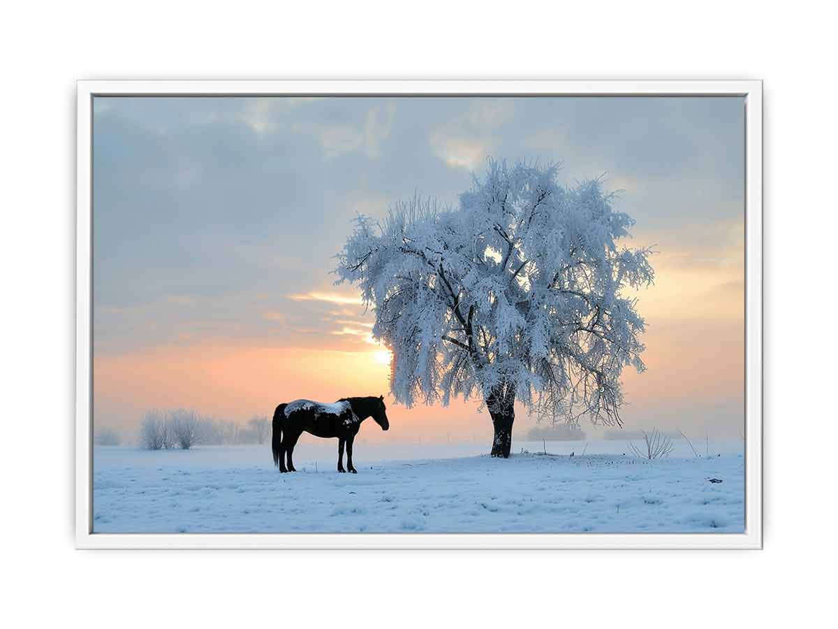 Horse In Winter  Canvas Art Print-5