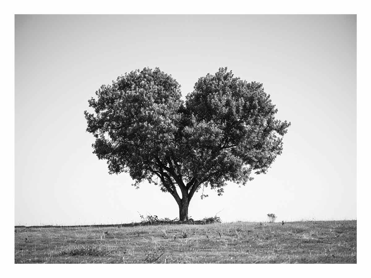 Tree Heart  Black and white Photography Canvas Art Print-0