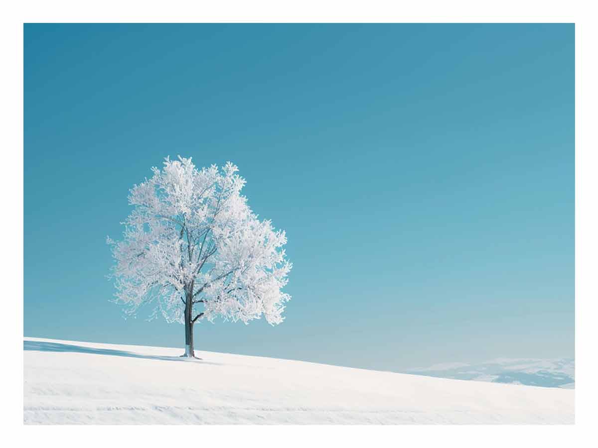 Winter Snow Tree Photography Art   Canvas Art Print-0