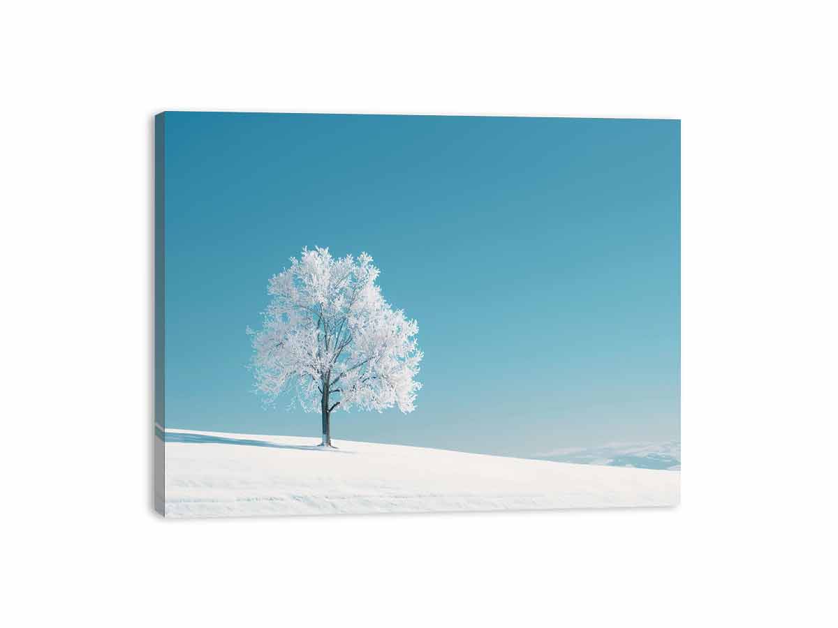 Winter Snow Tree Photography Art   Canvas Art Print-3