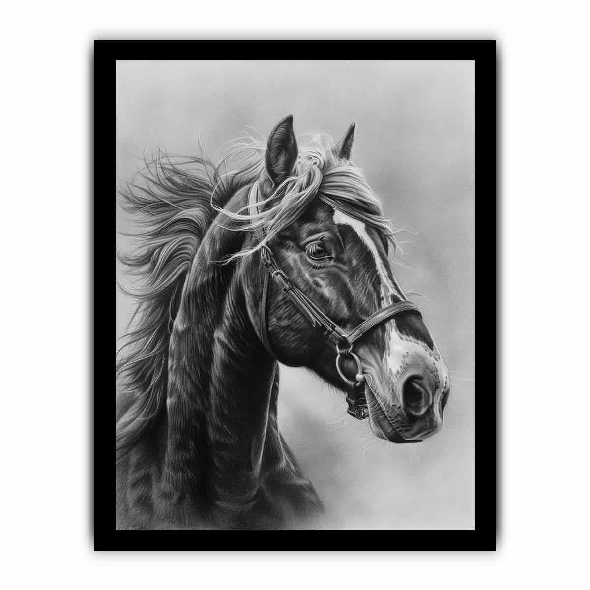 Lovely Horse  balck & white Canvas Painting-7
