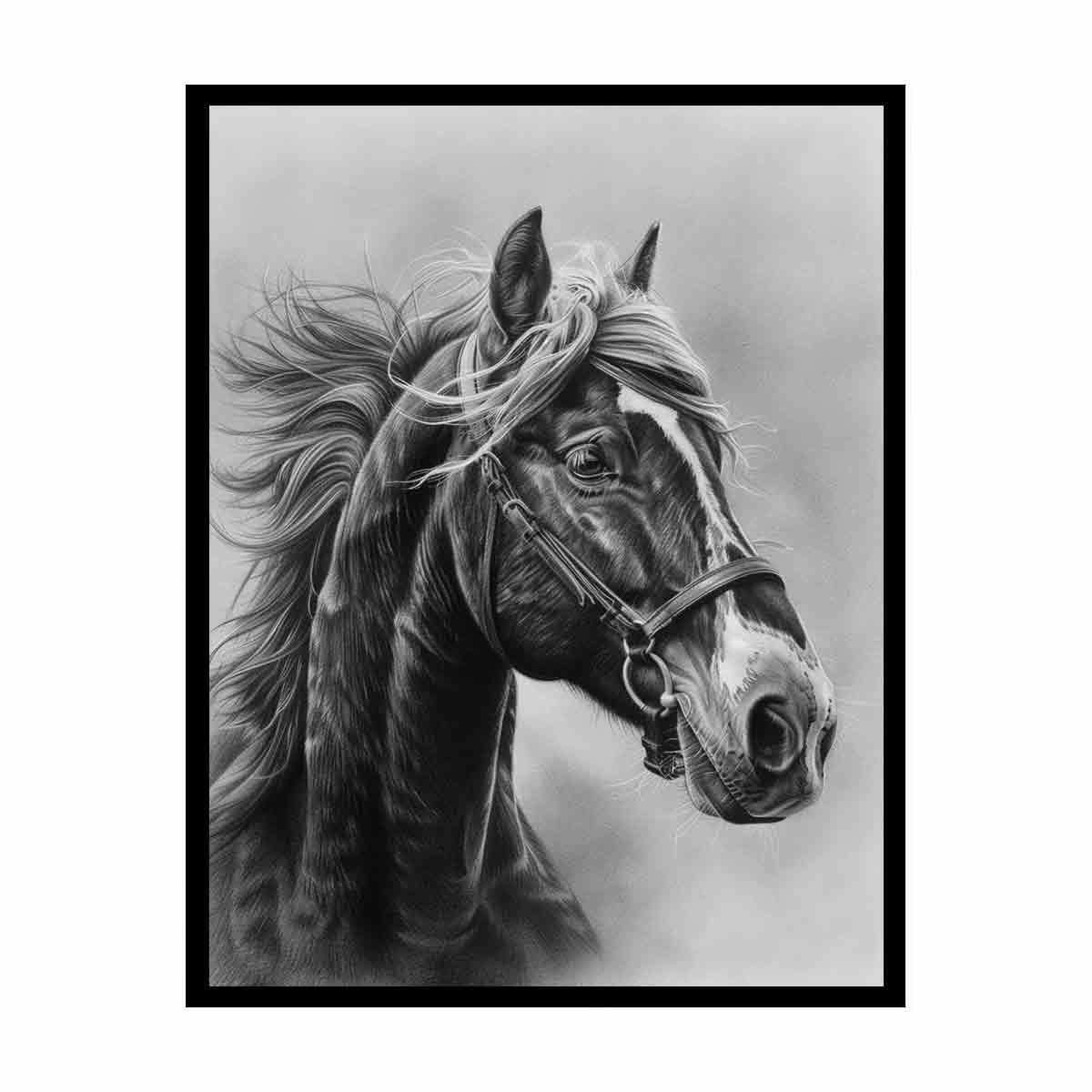 Lovely Horse  balck & white Canvas Painting-4