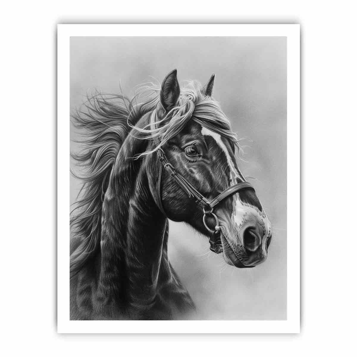 Lovely Horse  balck & white Canvas Painting-8