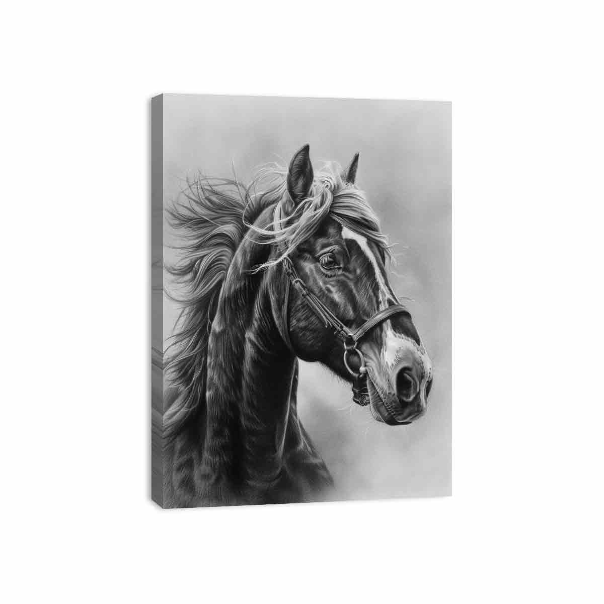 Lovely Horse  balck & white Canvas Painting-3