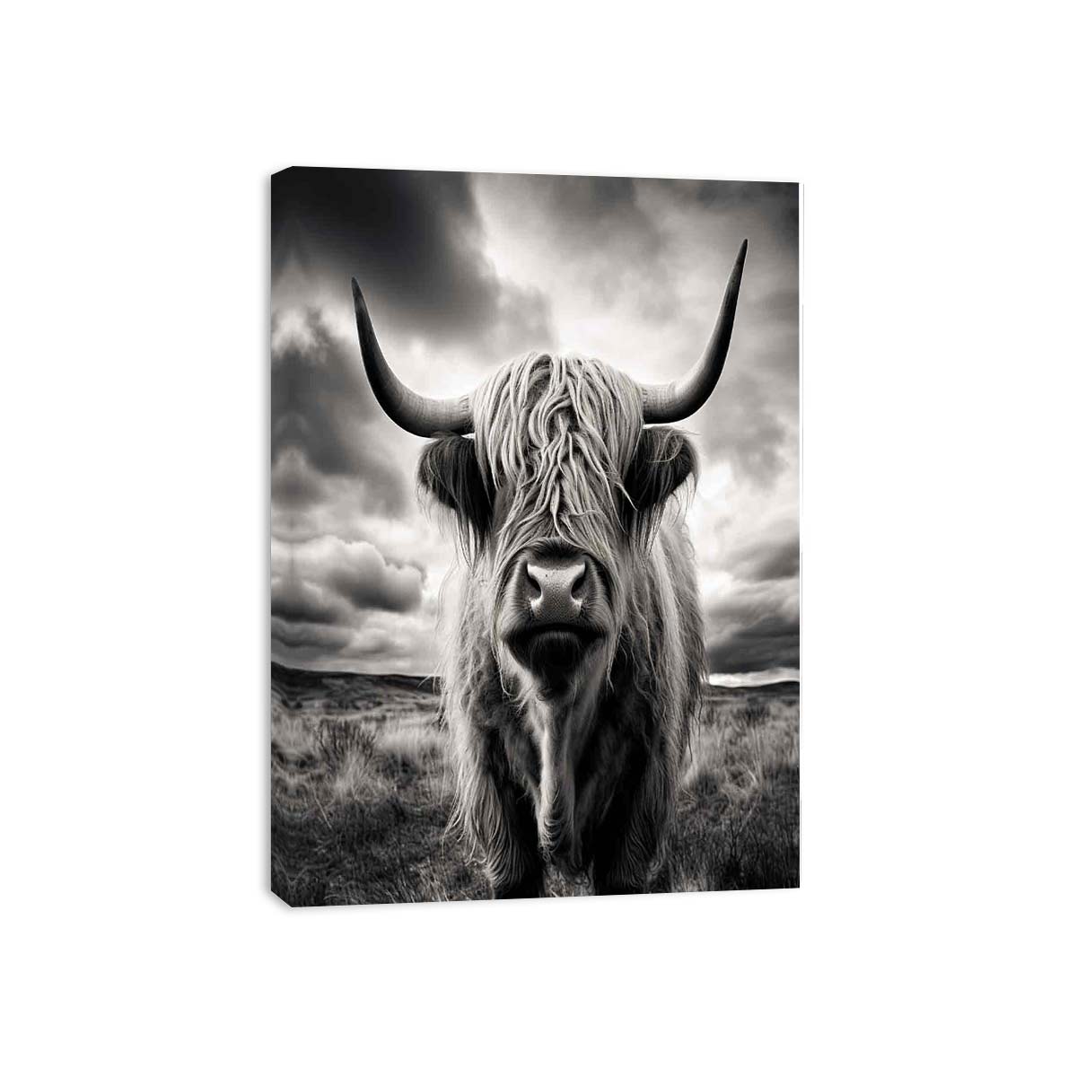 Highland Cow BW Canvas Art Print-3