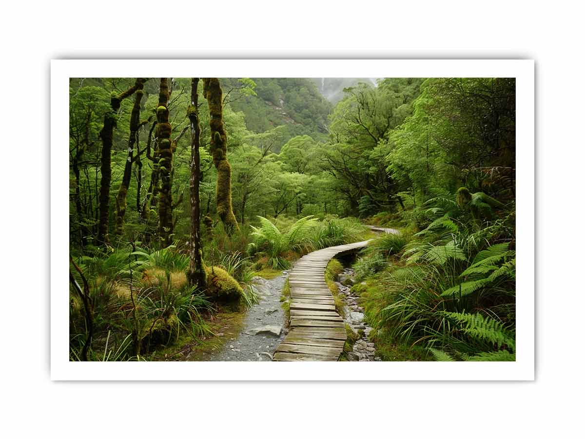 Morning  Forest Track  Canvas Art Print-8