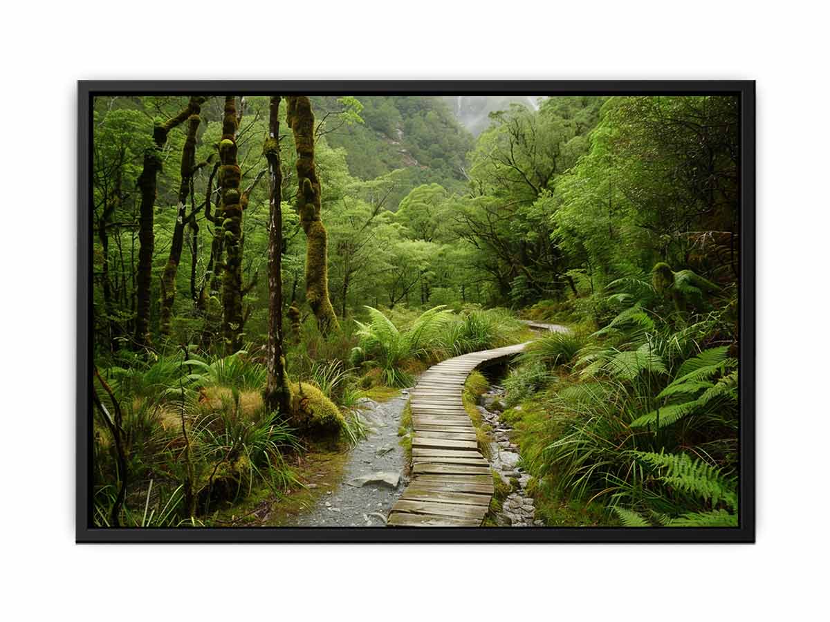 Morning  Forest Track  Canvas Art Print-4