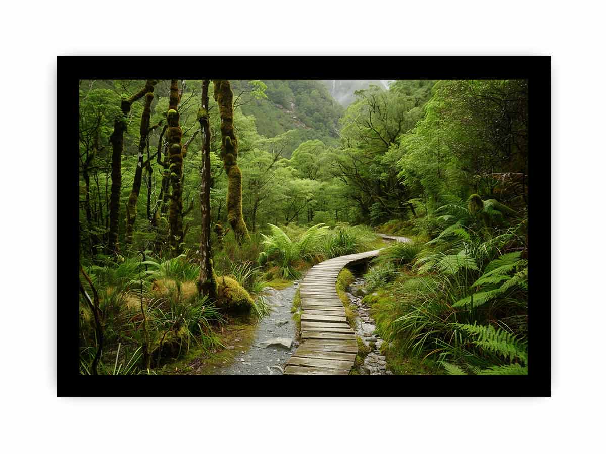 Morning  Forest Track  Canvas Art Print-7