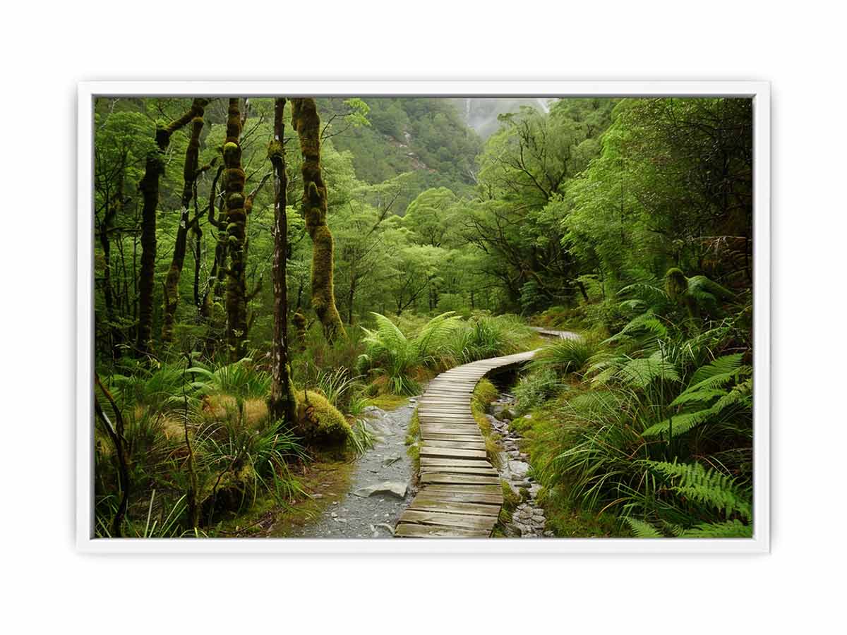 Morning  Forest Track  Canvas Art Print-5