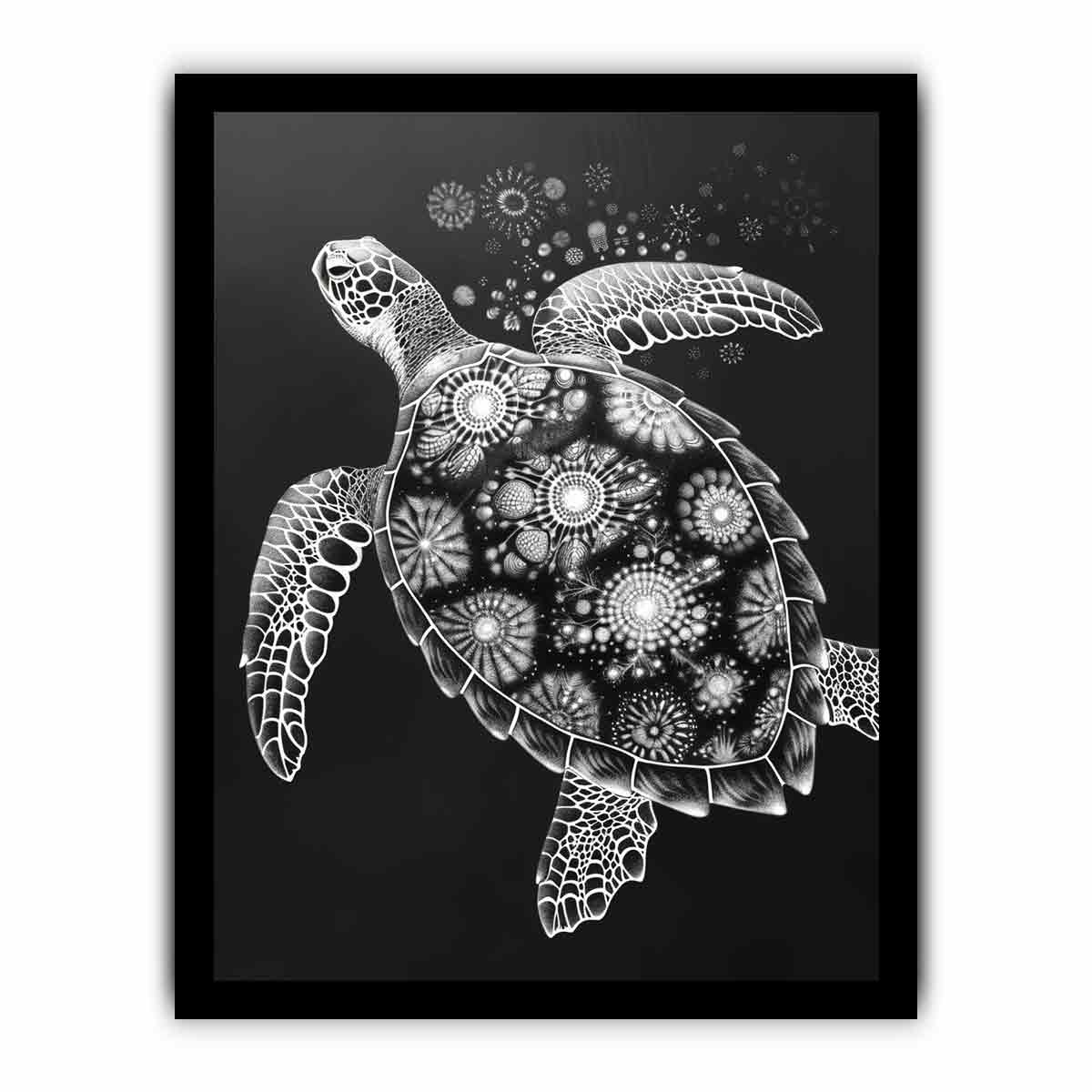 Turtle Black and white  Canvas Art Print-7