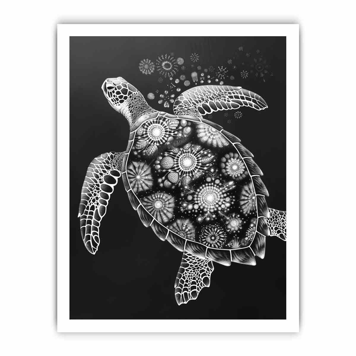 Turtle Black and white  Canvas Art Print-8