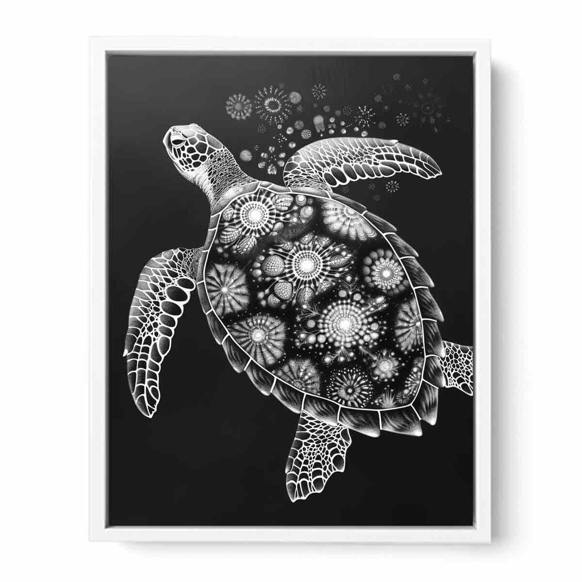 Turtle Black and white  Canvas Art Print-5