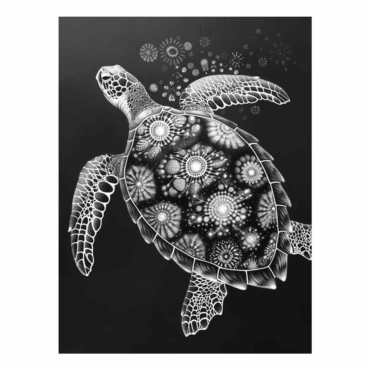 Turtle Black and white  Canvas Art Print-0