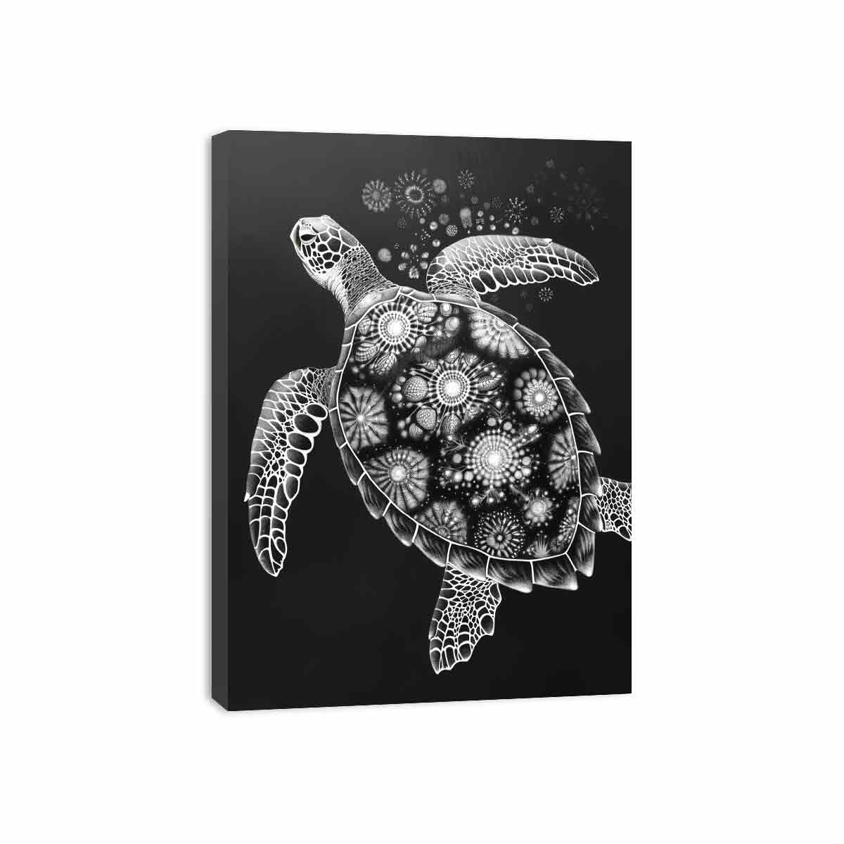 Turtle Black and white  Canvas Art Print-3