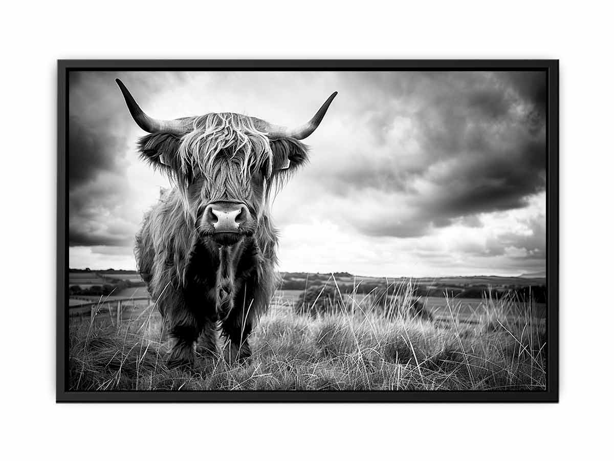 Stormy The Highland Cow Canvas Painting-4
