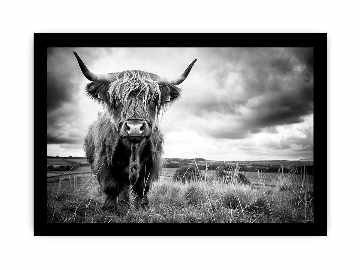 Stormy The Highland Cow Canvas Painting-7