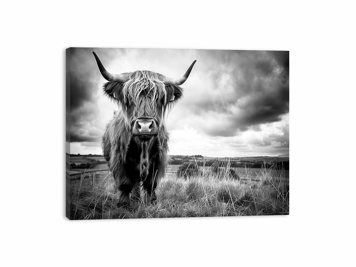 Stormy The Highland Cow Canvas Painting-3