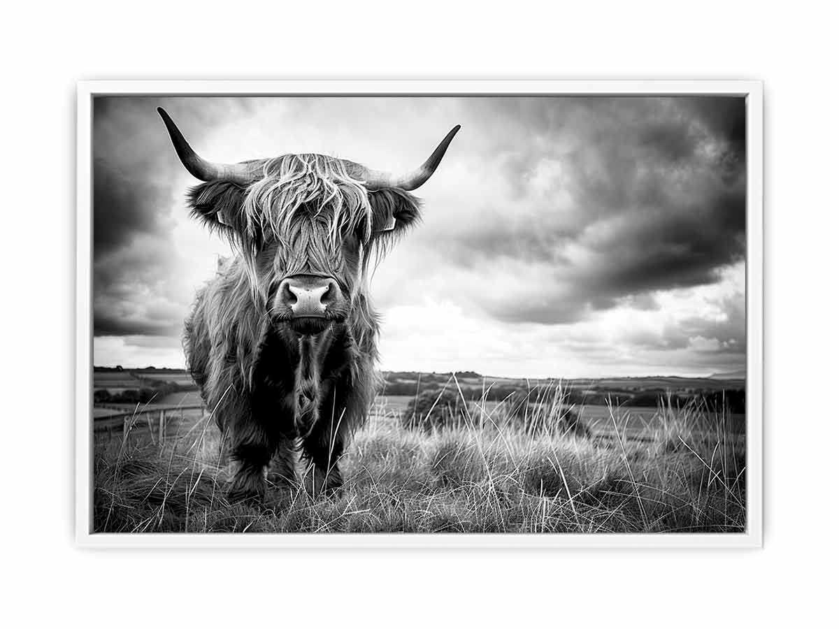 Stormy The Highland Cow Canvas Painting-5