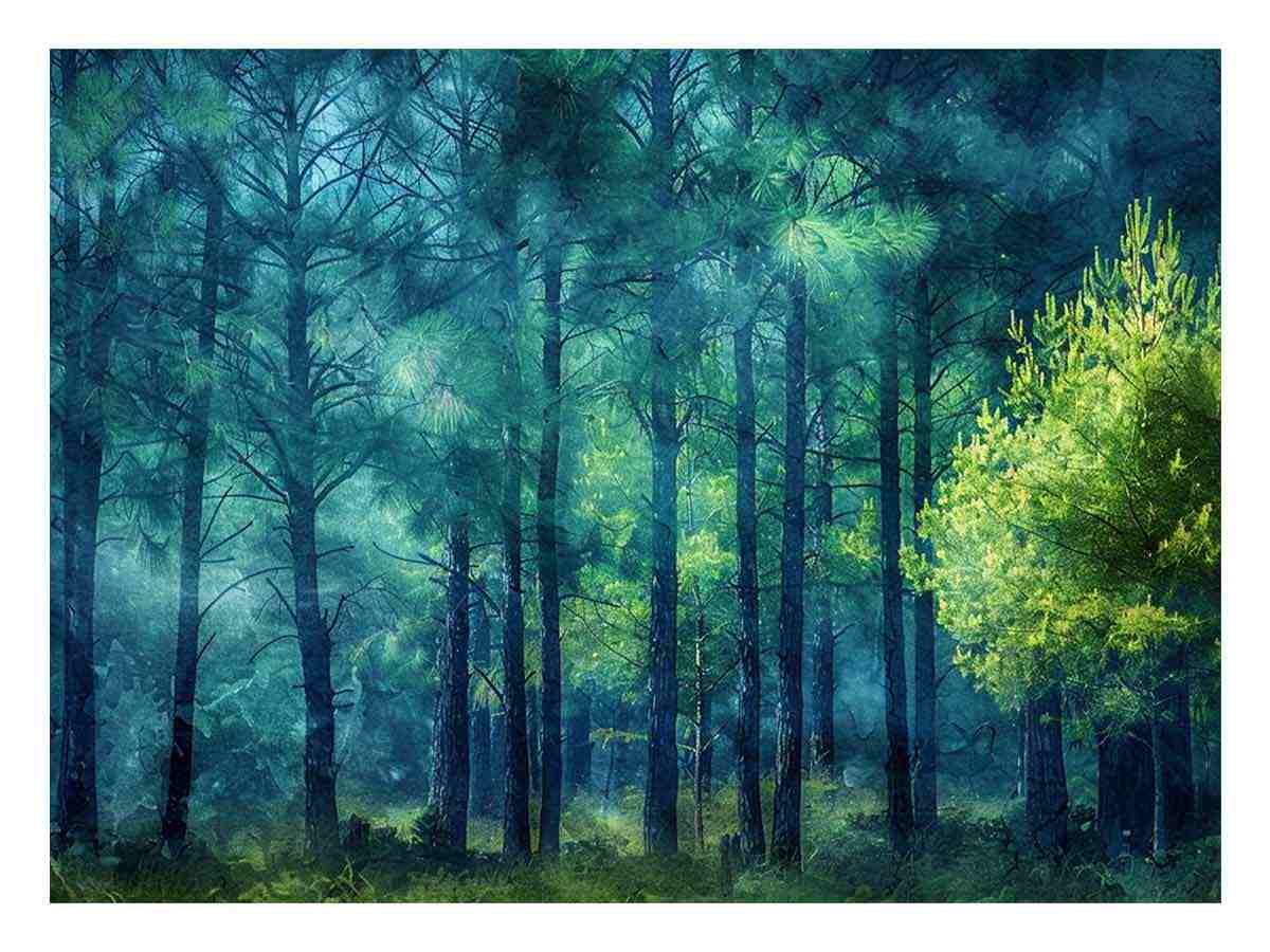 Pine Forest Canvas Art Print-0