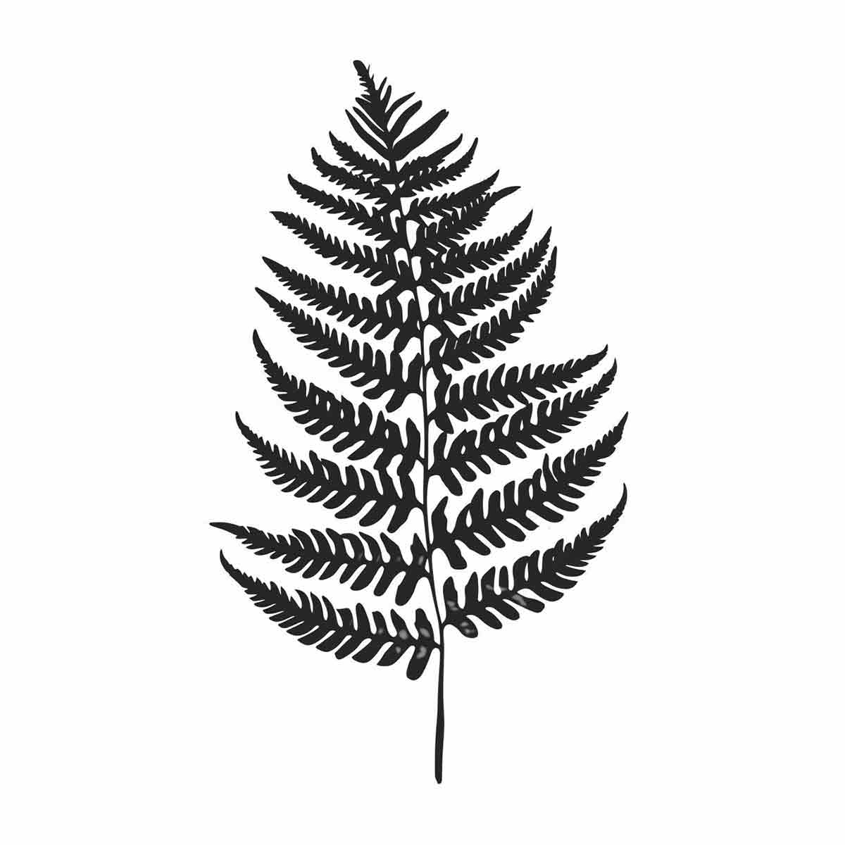 Fern Leaf  black & white Canvas Art Print-0