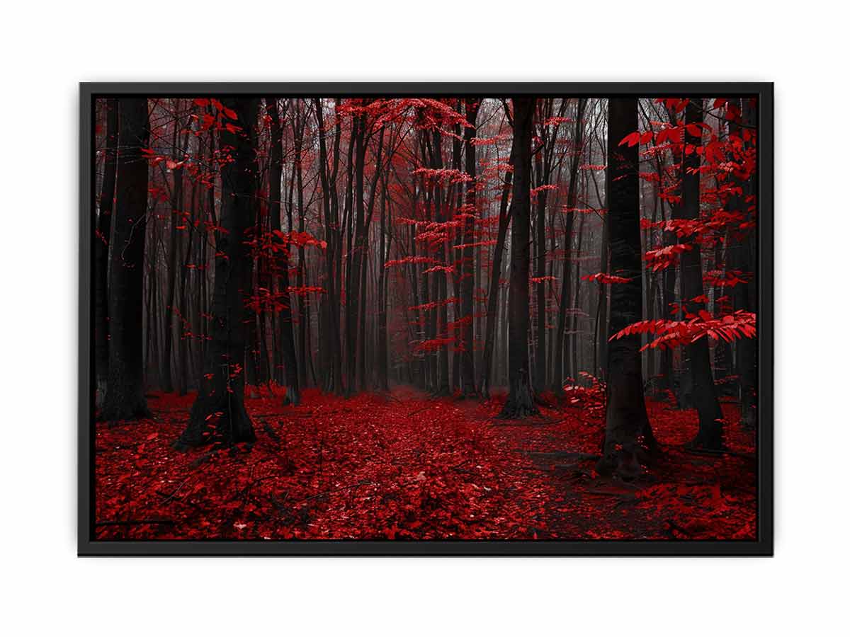 Red Trees  Phtograpahy Art Canvas Art Print-4