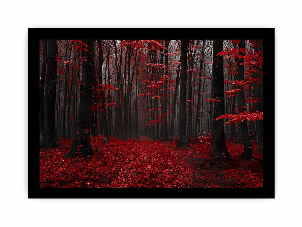 Red Trees  Phtograpahy Art Canvas Art Print-7