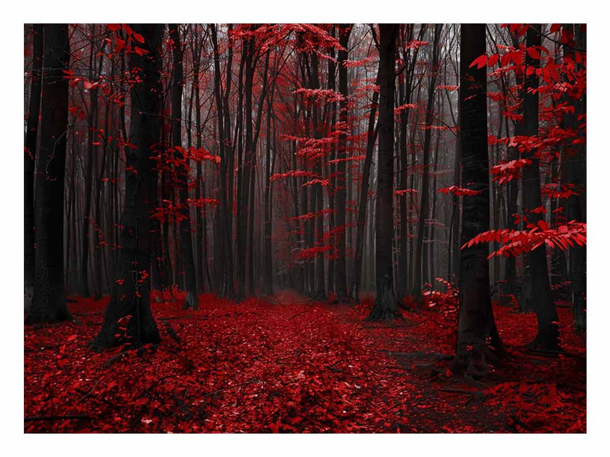 Red Trees  Phtograpahy Art Canvas Art Print-0