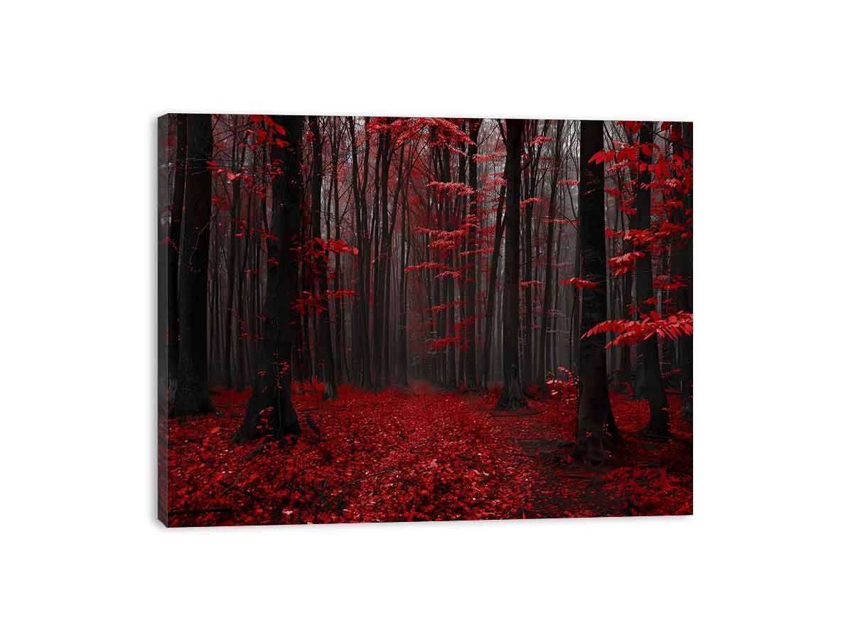 Red Trees  Phtograpahy Art Canvas Art Print-3